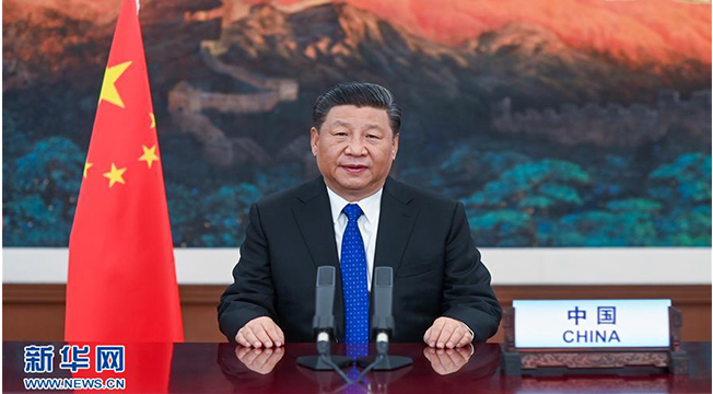 国家生殖健康咨询服务中心综合信息平台官网